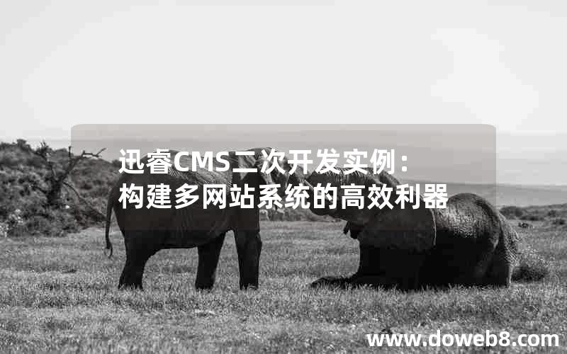 迅睿cms二次开发实例：构建多网站系统的高效利器