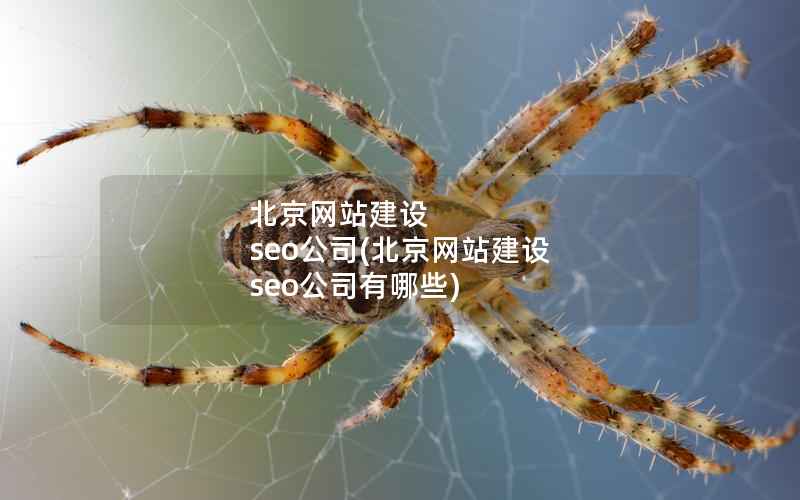 北京网站建设 seo公司，北京网站建设 seo公司有哪些