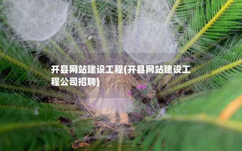 开县网站建设工程，开县网站建设工程公司招聘