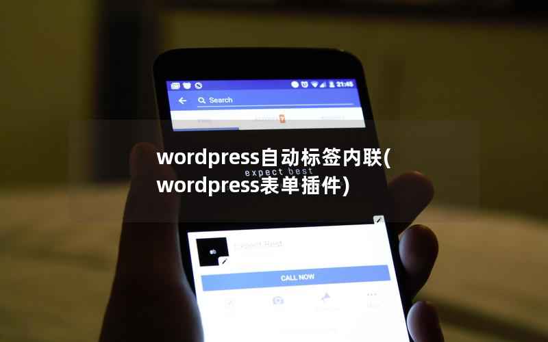 WordPress自动标签内联，WordPress表单插件