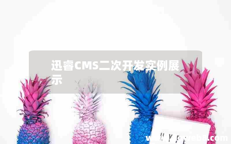 迅睿cms二次开发实例展示