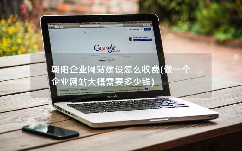 朝阳企业网站建设怎么收费，做一个企业网站大概需要多少钱