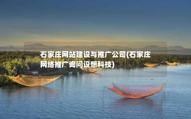 石家庄网站建设与推广公司，石家庄网络推广询问设想科技