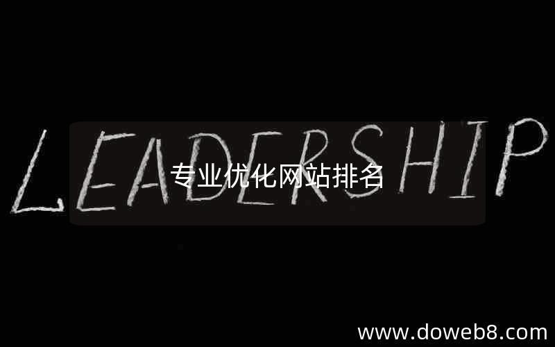 专业优化网站排名