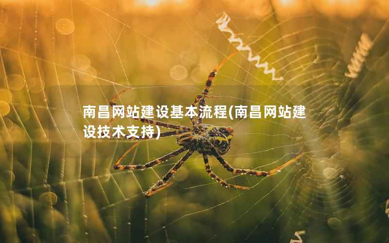 南昌网站建设基本流程，南昌网站建设技术支持