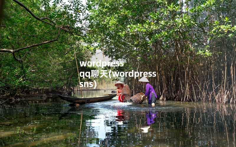 WordPress qq聊天，WordPress sns