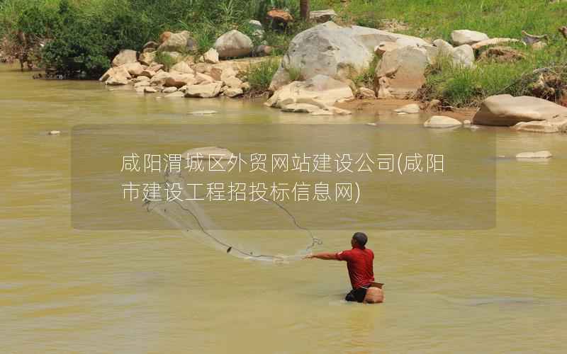 咸阳渭城区外贸网站建设公司，咸阳市建设工程招投标