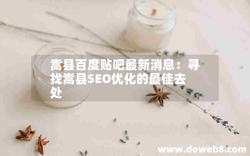 嵩县百度贴吧最新消息：寻找嵩县SEO优化的最佳去处