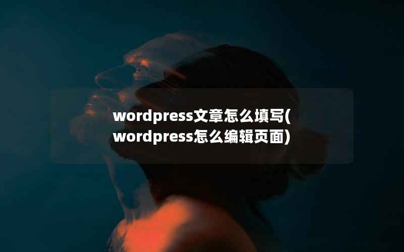 WordPress文章怎么填写，WordPress怎么编辑页面