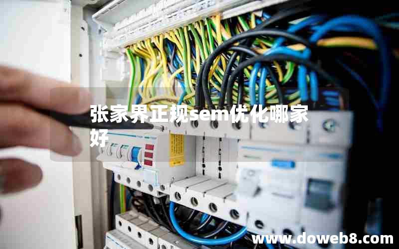 张家界正规sem优化哪家好