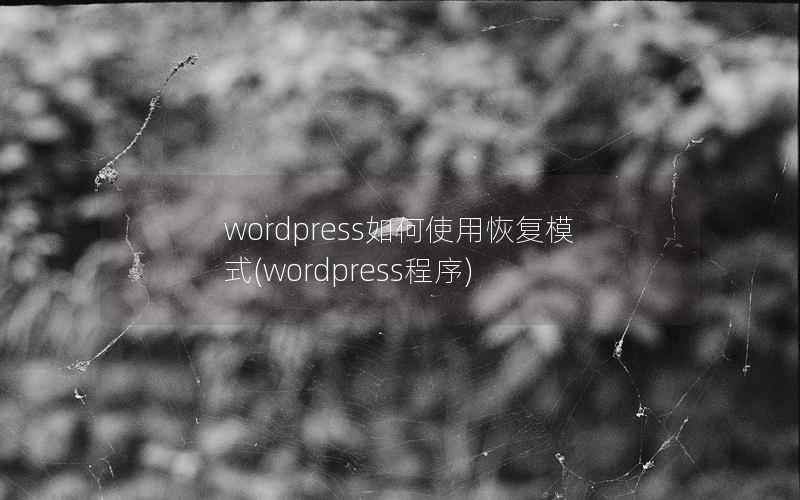 WordPress如何使用恢复模式，WordPress程序