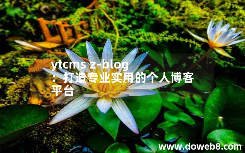 ytcms Z-Blog：打造专业实用的个人博客平台