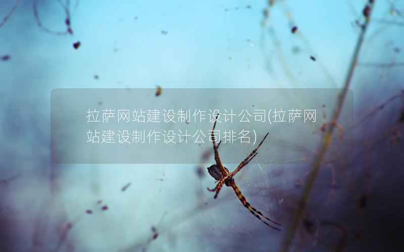 拉萨网站建设制作设计公司，拉萨网站建设制作设计公司排名