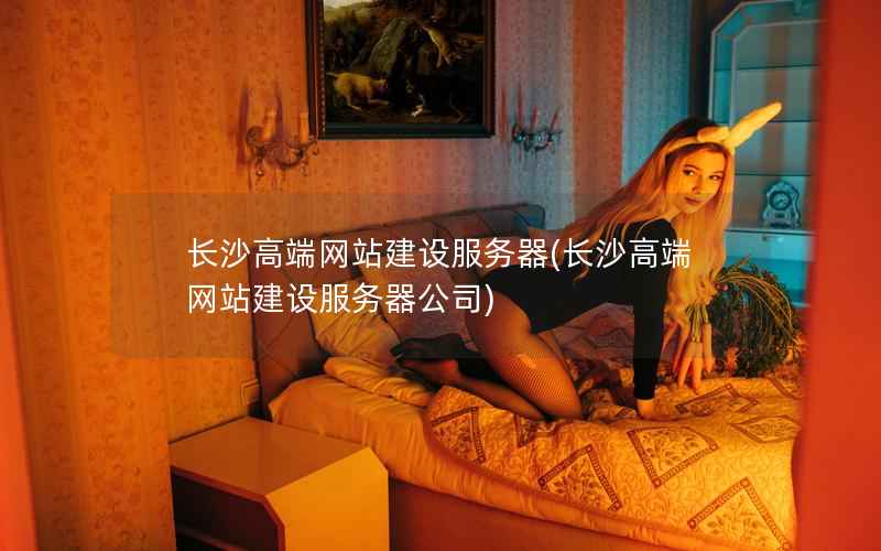 长沙高端网站建设服务器，长沙高端网站建设服务器公司