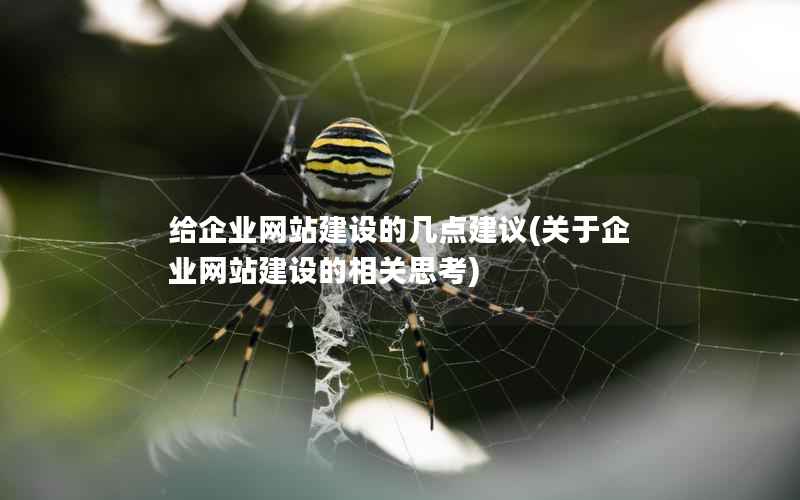 给企业网站建设的几点建议，关于企业网站建设的相关思考