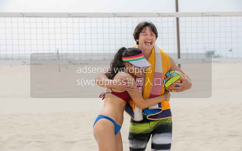 adsence WordPress，WordPress官网入口