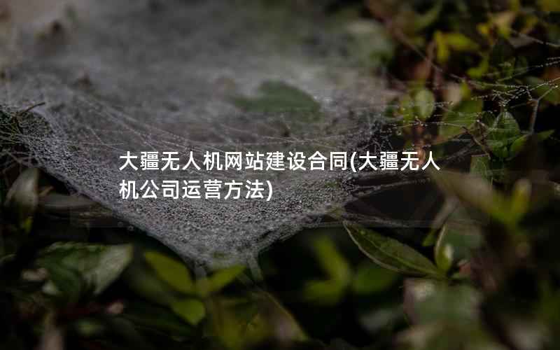 大疆无人机网站建设合同，大疆无人机公司运营方法
