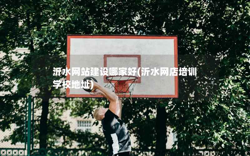 沂水网站建设哪家好，沂水网店培训学校地址