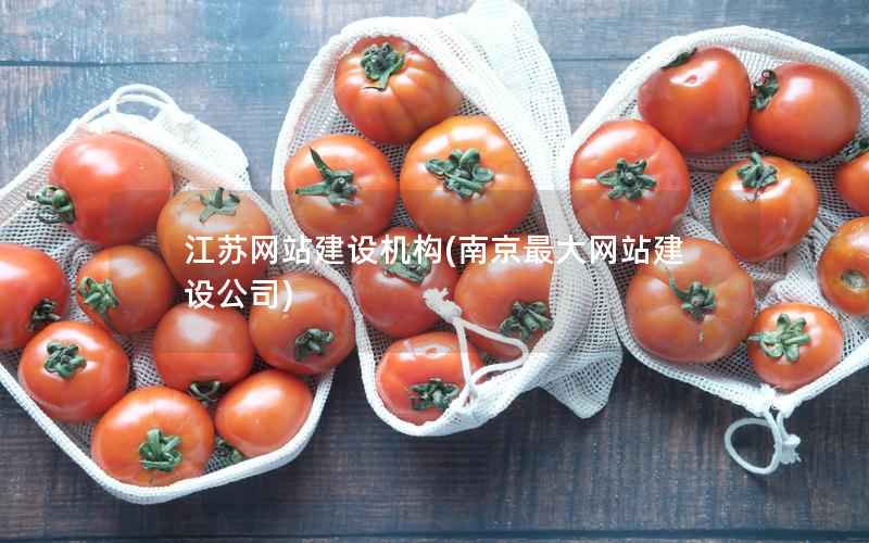 江苏网站建设机构，南京最大网站建设公司