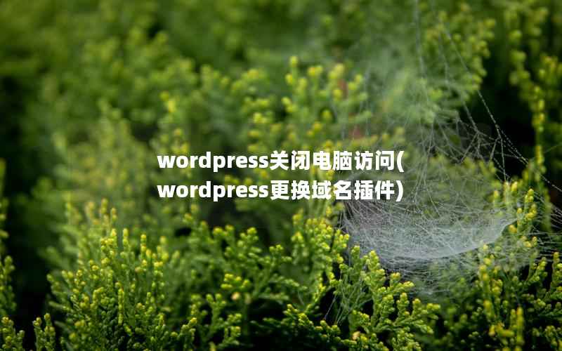 WordPress关闭电脑访问，WordPress更换域名插件