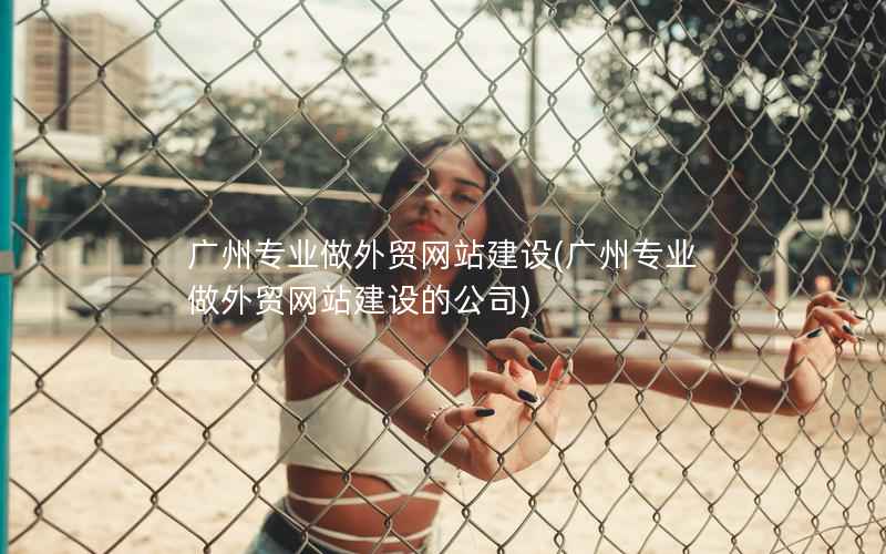 广州专业做外贸网站建设，广州专业做外贸网站建设的公司