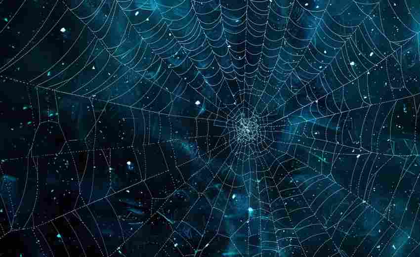 如何利用蜘蛛池提升网站曝光率？