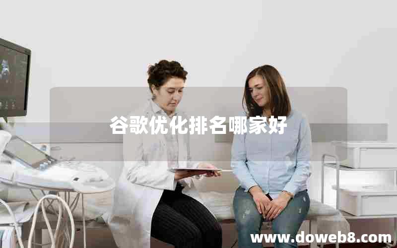 谷歌优化排名哪家好