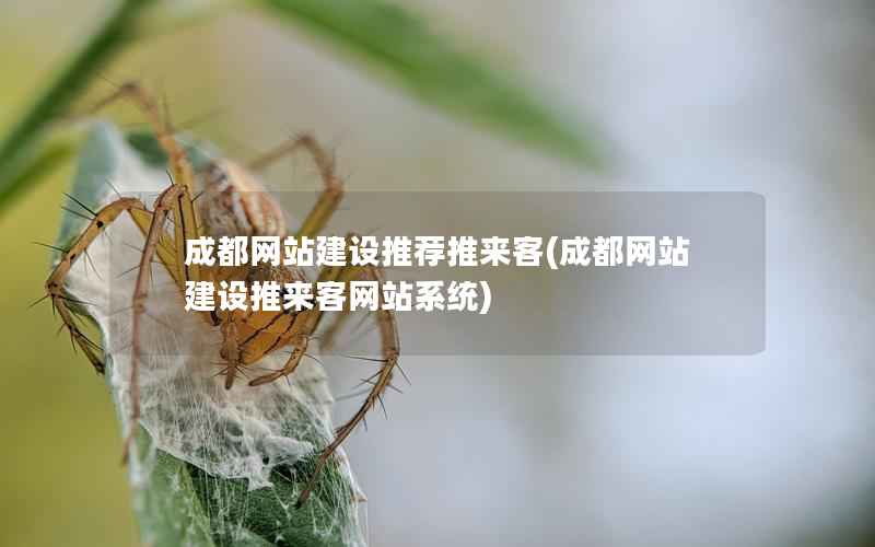 成都网站建设推荐推来客，成都网站建设推来客网站系统
