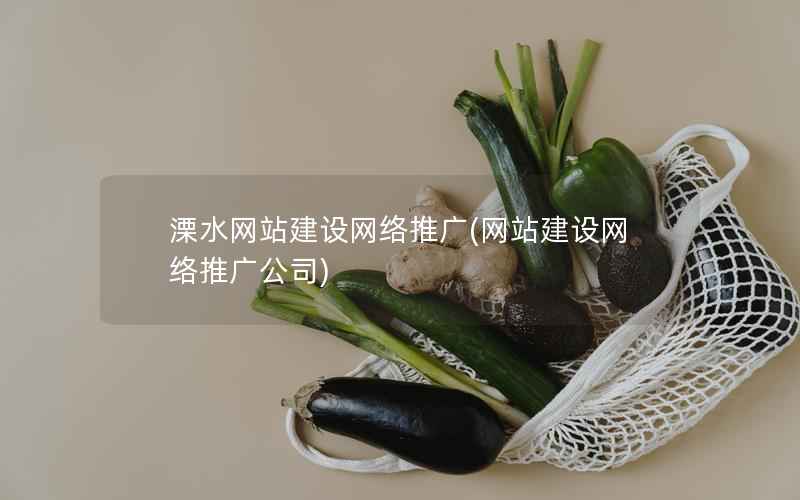 溧水网站建设网络推广，网站建设网络推广公司