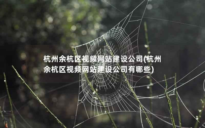 杭州余杭区视频网站建设公司，杭州余杭区视频网站建设公司有哪些
