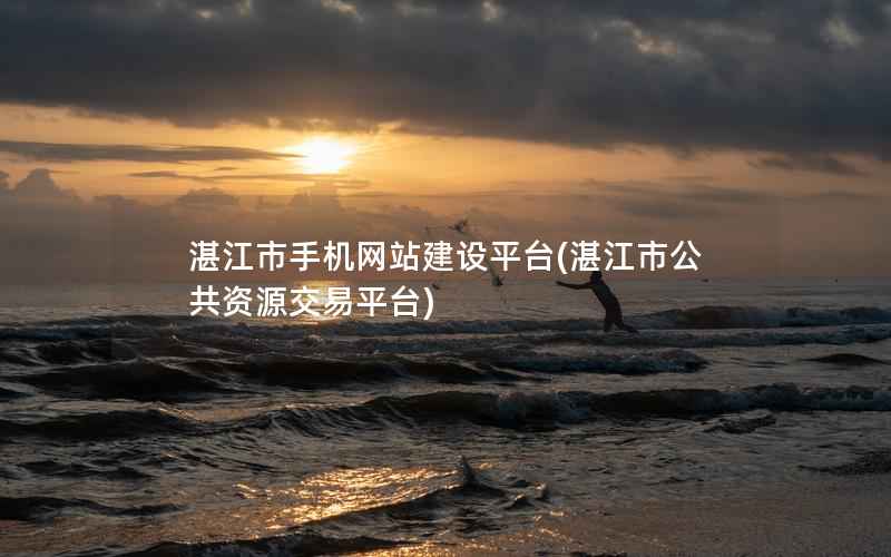 湛江市手机网站建设平台，湛江市公共资源交易平台