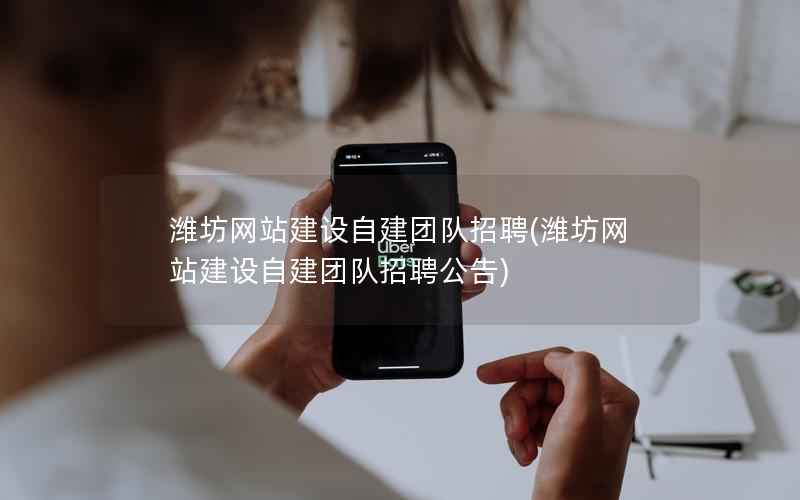潍坊网站建设自建团队招聘，潍坊网站建设自建团队招聘公告