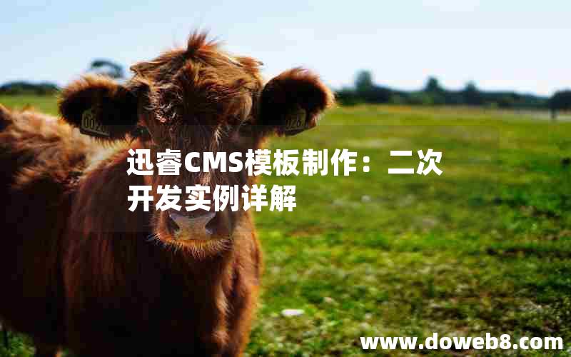 迅睿cms模板制作：二次开发实例详解