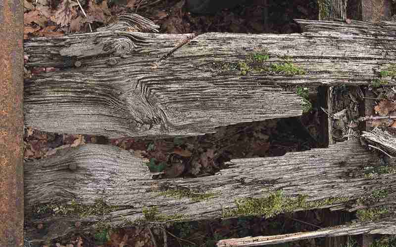 关键词在内容中如何自然融入