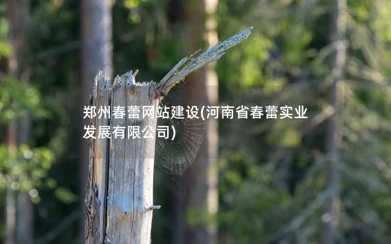 郑州春蕾网站建设，河南省春蕾实业发展有限公司