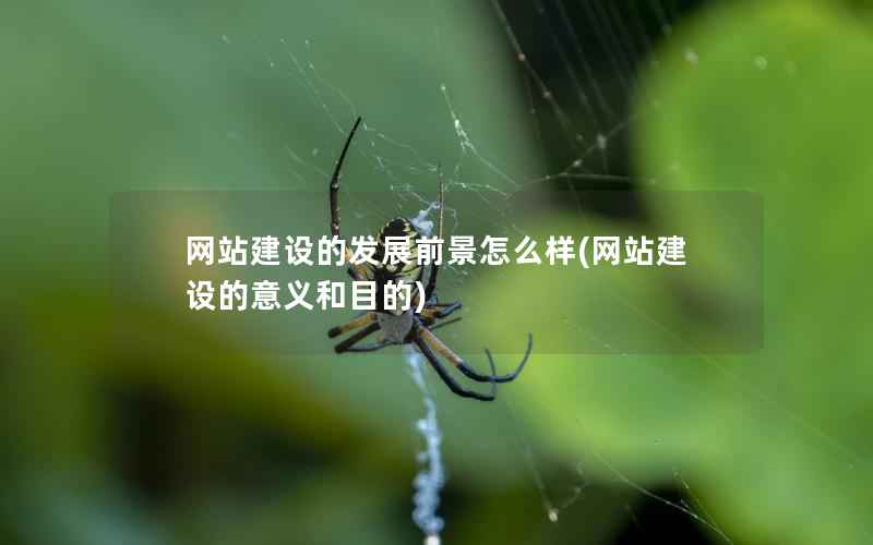 网站建设的发展前景怎么样，网站建设的意义和目的