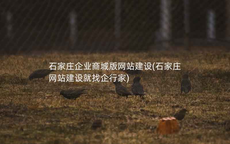 石家庄企业商城版网站建设，石家庄网站建设就找企行家