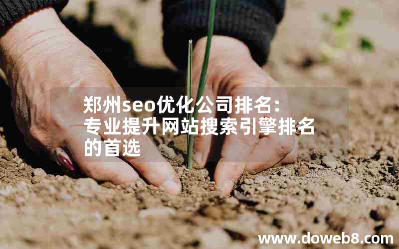 郑州seo优化公司排名:专业提升网站搜索引擎排名的首选