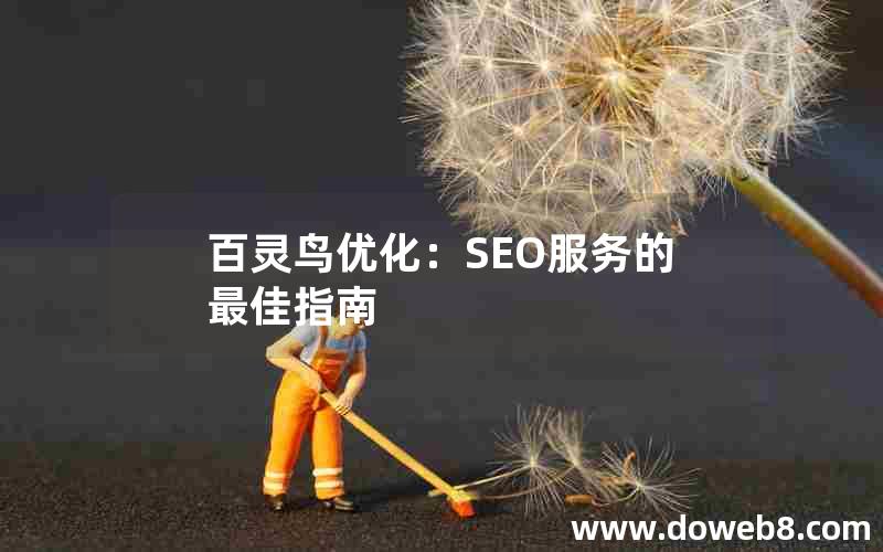 百灵鸟优化：SEO服务的最佳指南