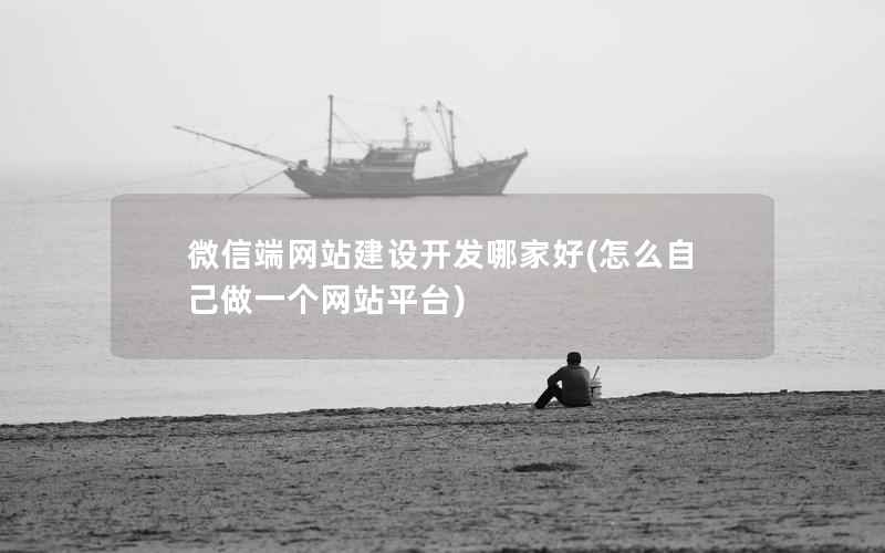 微信端网站建设开发哪家好，怎么自己做一个网站平台