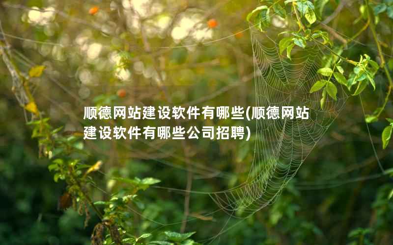 顺德网站建设软件有哪些，顺德网站建设软件有哪些公司招聘
