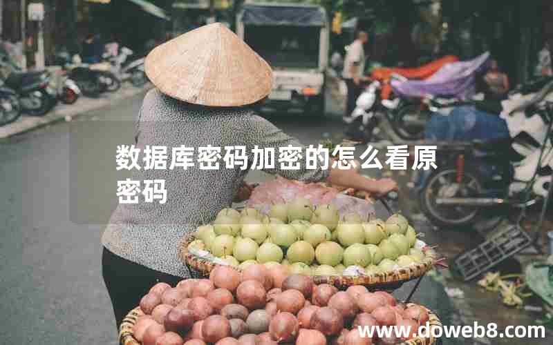 数据库密码加密的怎么看原密码 数据库密码加密的怎么看原密码