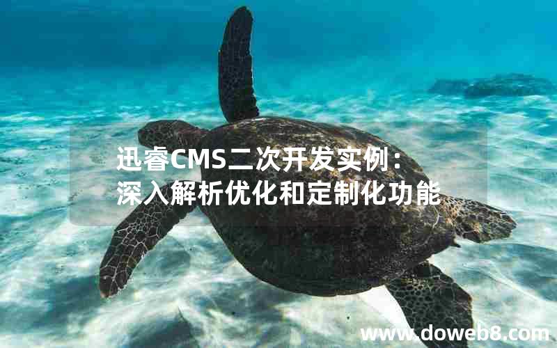 迅睿cms二次开发实例：深入解析优化和定制化功能