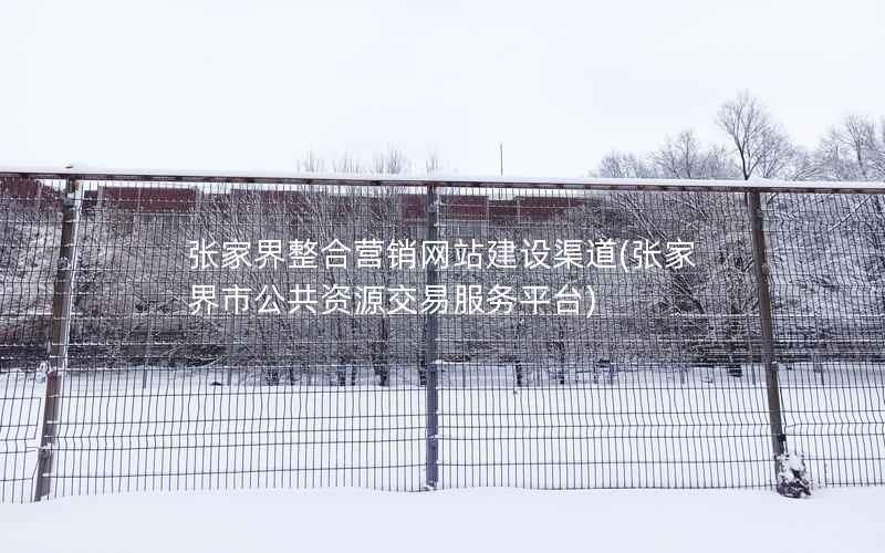 张家界整合营销网站建设渠道，张家界市公共资源交易服务平台