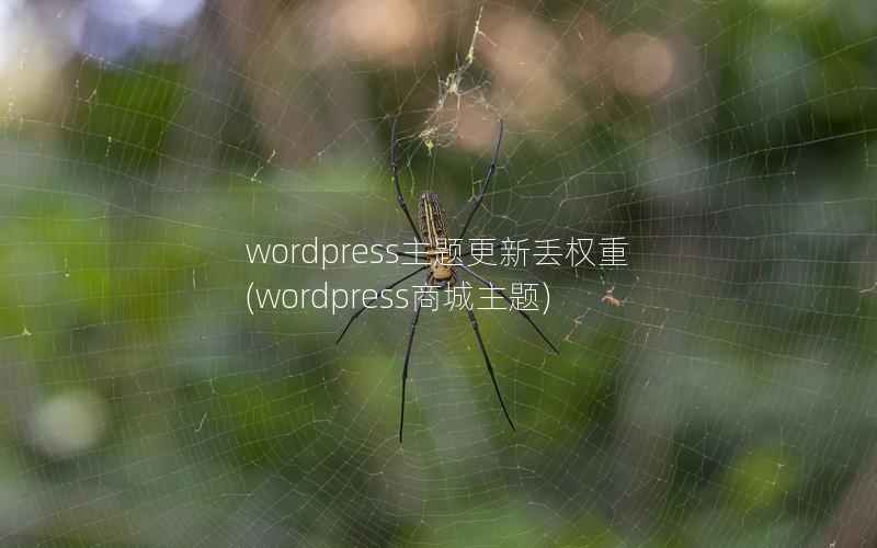 WordPress主题更新丢权重，WordPress商城主题