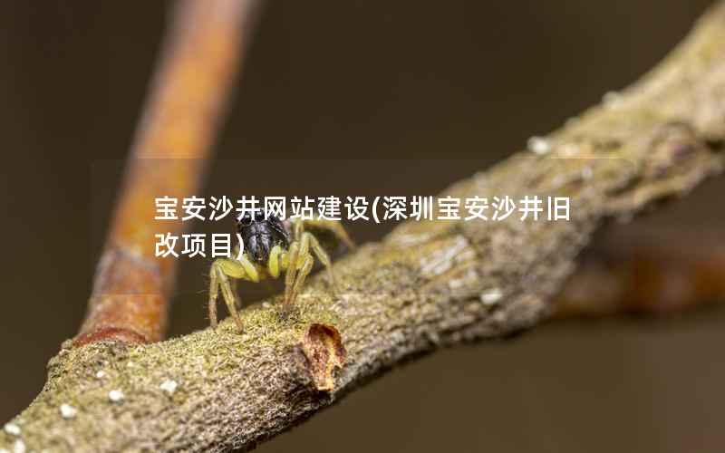 宝安沙井网站建设，深圳宝安沙井旧改项目