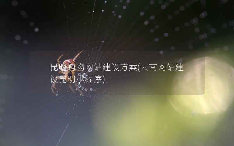 昆明购物网站建设方案，云南网站建设昆明小程序